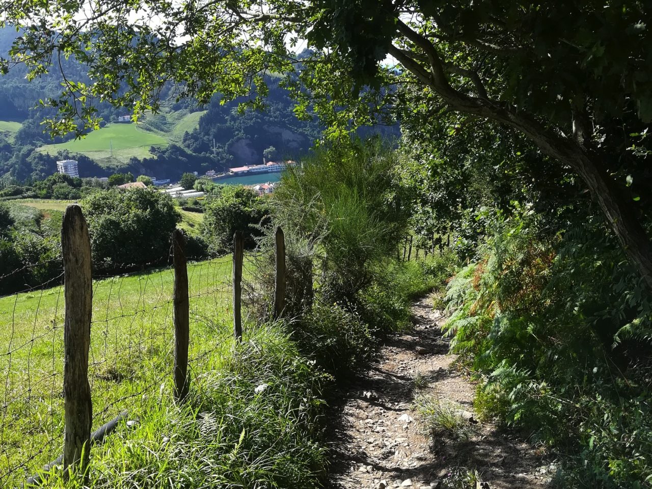 IMG_20180810_172506 – copie – 136
