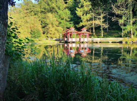 Etang chevetogne Japon