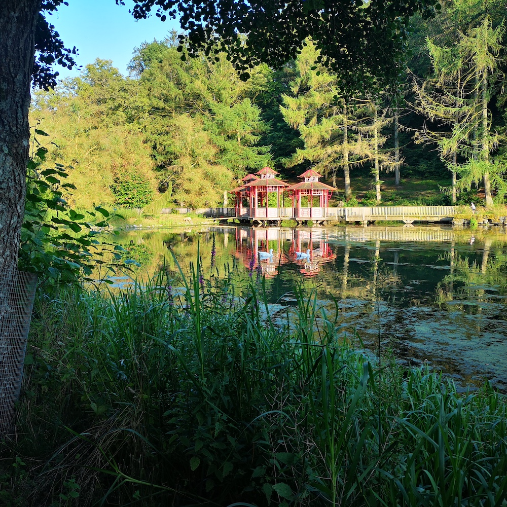 Etang chevetogne Japon