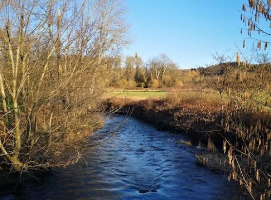 Rivière Froidlieu mars 25 – 1
