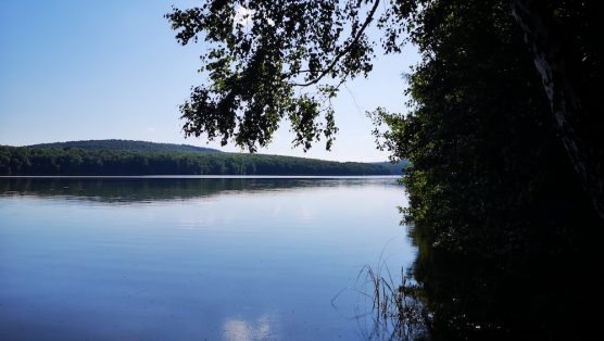 Lac Vieille forge IMG_20250630_182820