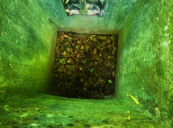 Puit IMG_20250811_134113_1