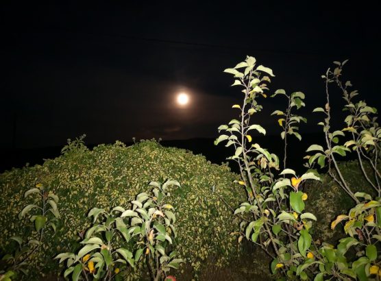 Pleine Lune IMG_20250906_211726