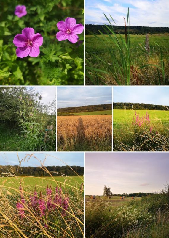 https://nathalie-poncelet.be/wp-content/uploads/2025/09/souvenir-2024-07-22T15_22_1502_00-COLLAGE-570x800.jpg