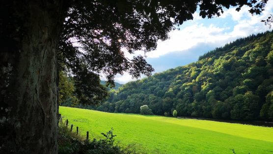 Bouillon IMG_20250927_173502