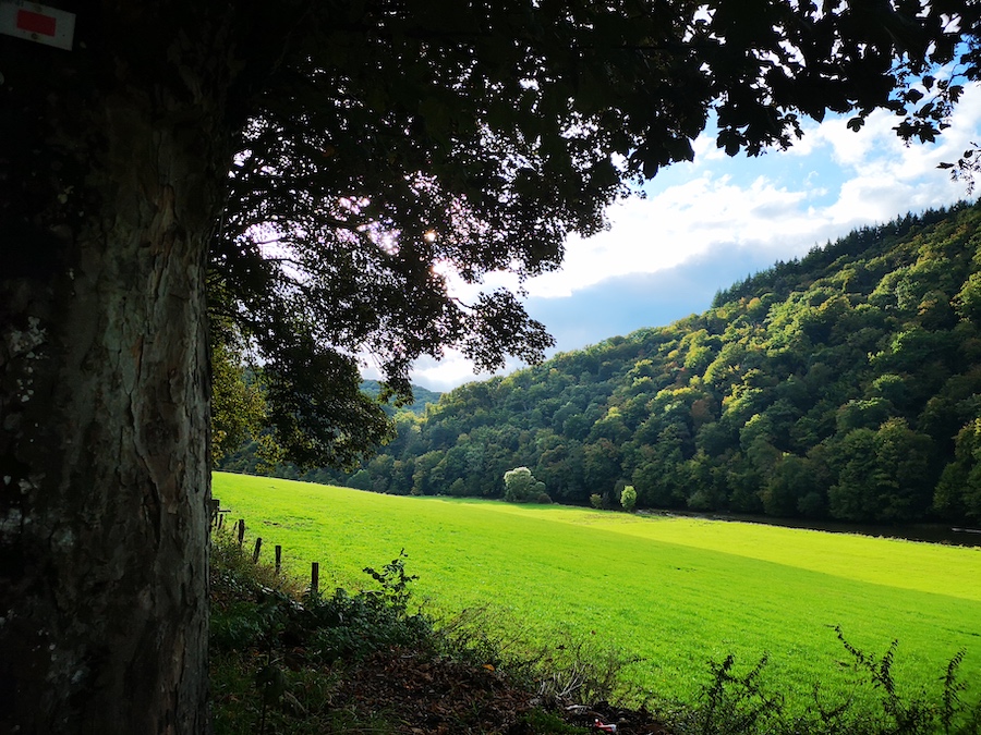Bouillon IMG_20250927_173502