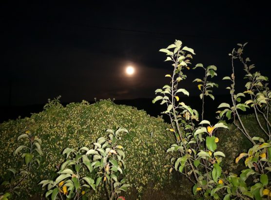 Pleine Lune IMG_20250906_211726