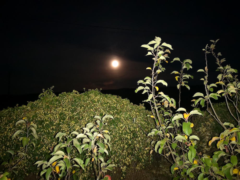 Pleine Lune IMG_20250906_211726