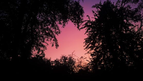 Ciel rose IMG_20250831_202415