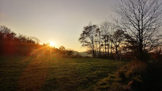 coucher SoleilIMG_20251121_160859